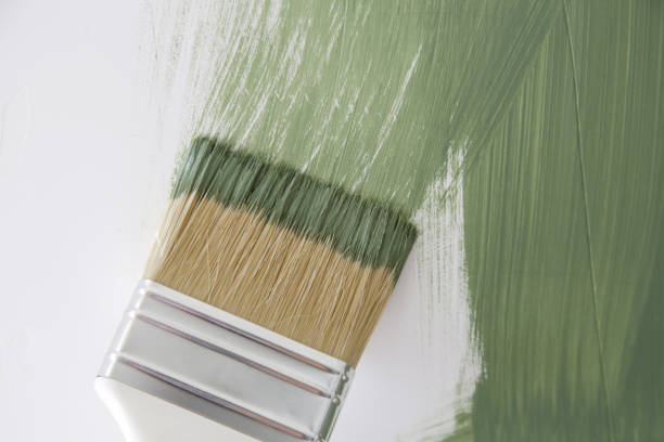 Best Basement Mold Removal  in Maybrook, NY